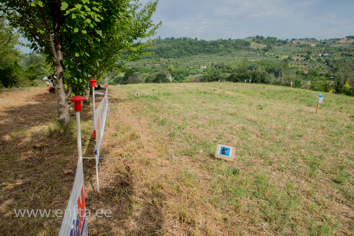 231 Blue course position lanes